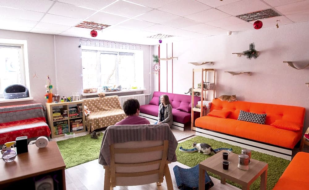 Котокафе для детей