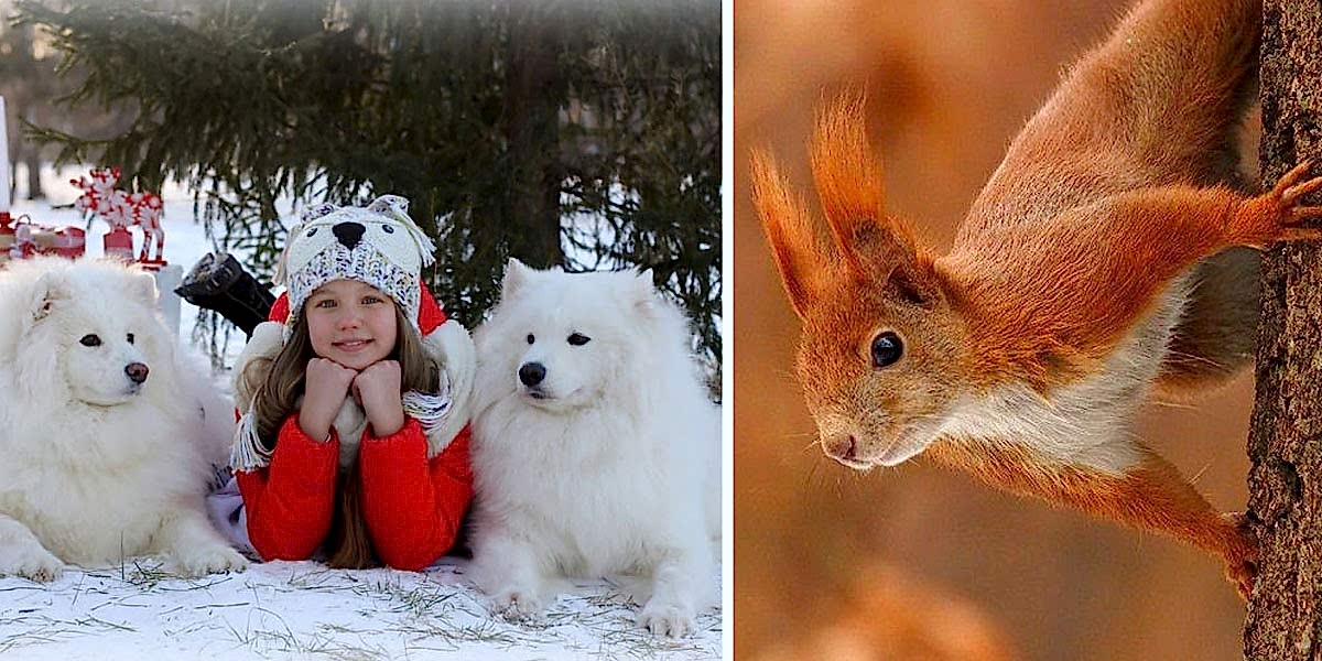 Уют-клуб Тепло