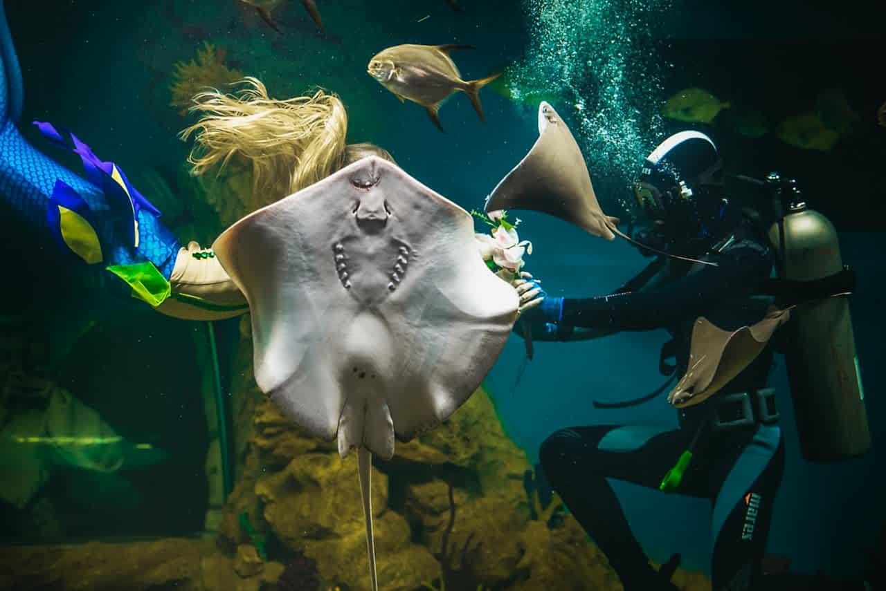 Аквагалерея