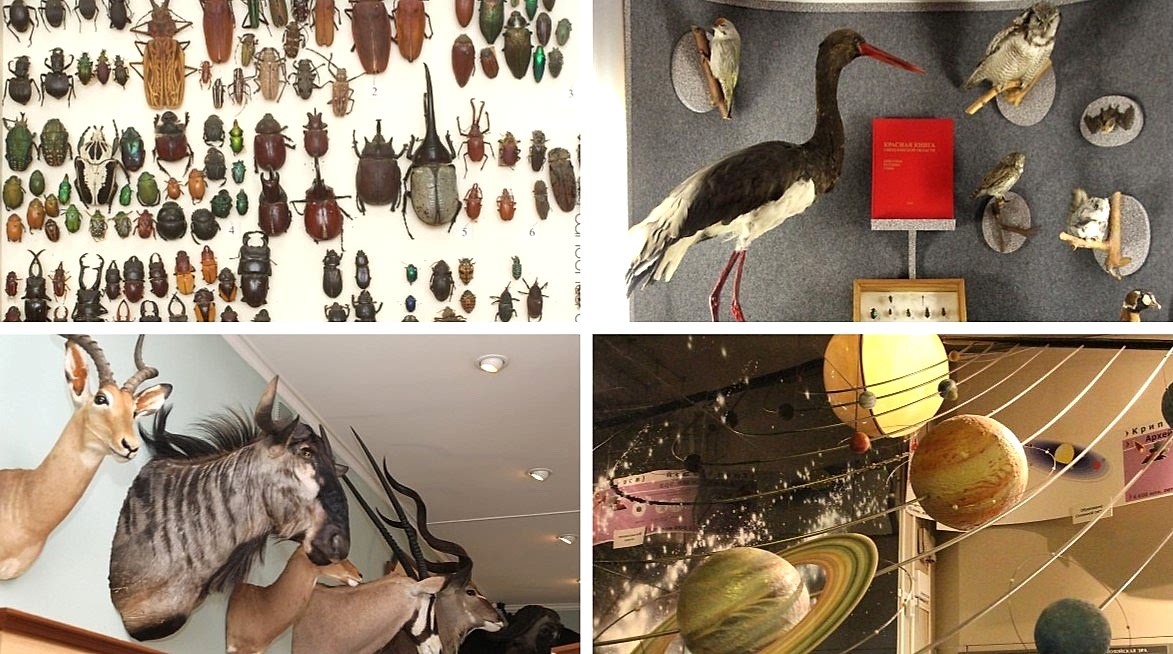 Музей природы Урала