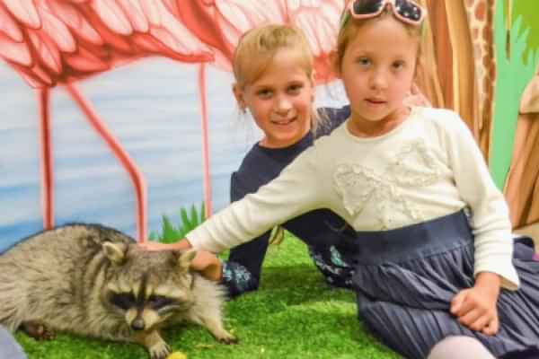 Всё как у зверей