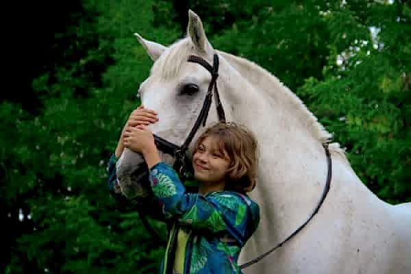 Вольный ветер