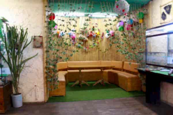 Парк бабочек