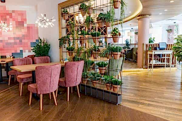 Своя компания на Шейнкмана