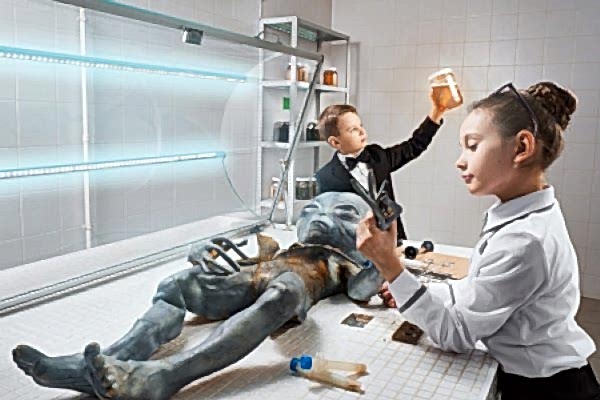 Дело о пришельце