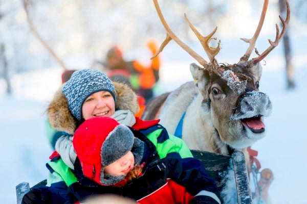 Фермы и питомники